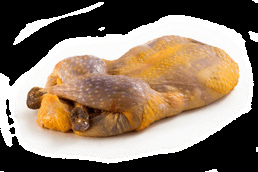 FARAONA DISOSSATA
