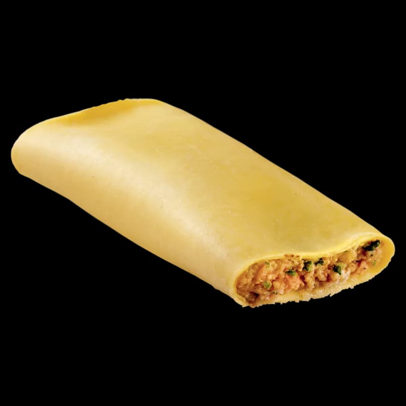 Cannelloni alla carne