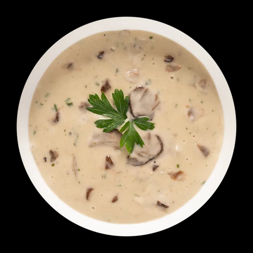 Salsa ai funghi porcini