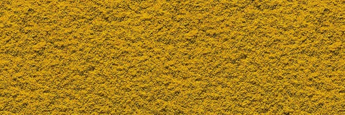 Curry Powder - Miscela di Spezie