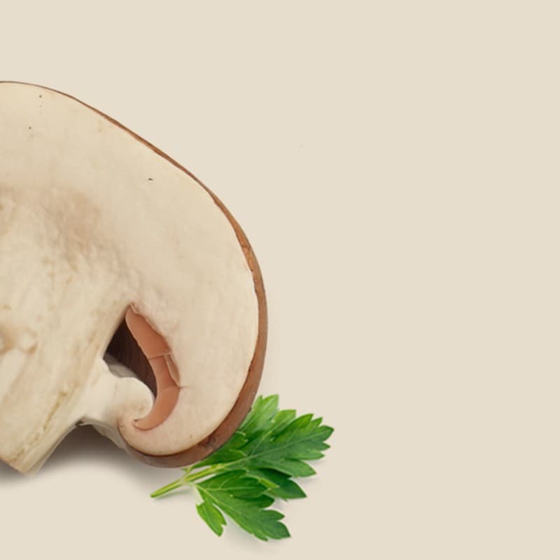 FUNGHI TRIFOLATI E TARTUFI