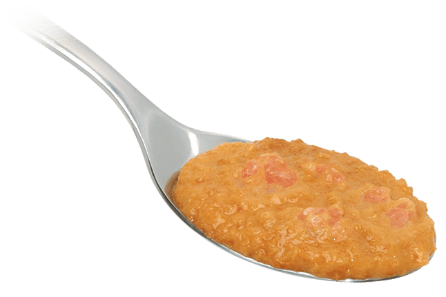 Crema di Gamberetti 3