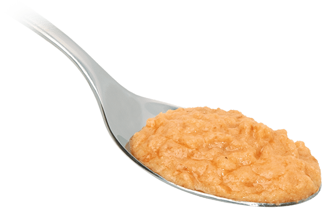 Crema di Salmone 3