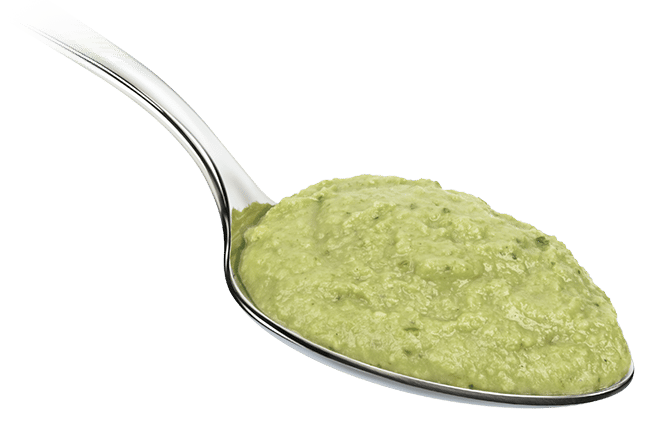 Salsa Guacamole 3