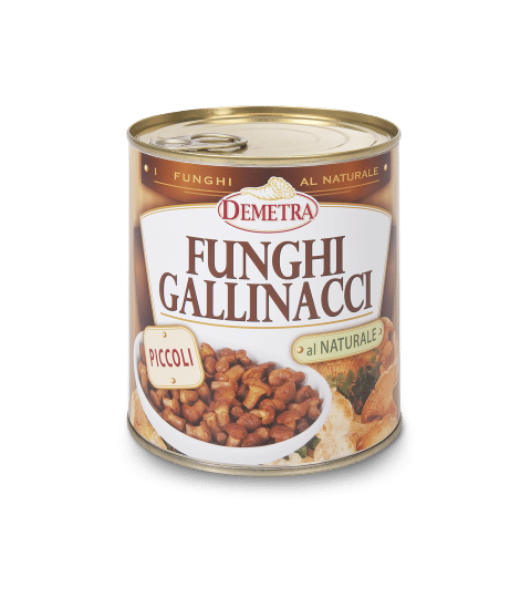 Funghi Gallinacci Piccoli 2