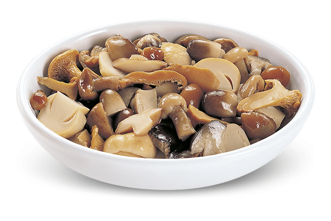 Misto Funghi Mix Pilz 3