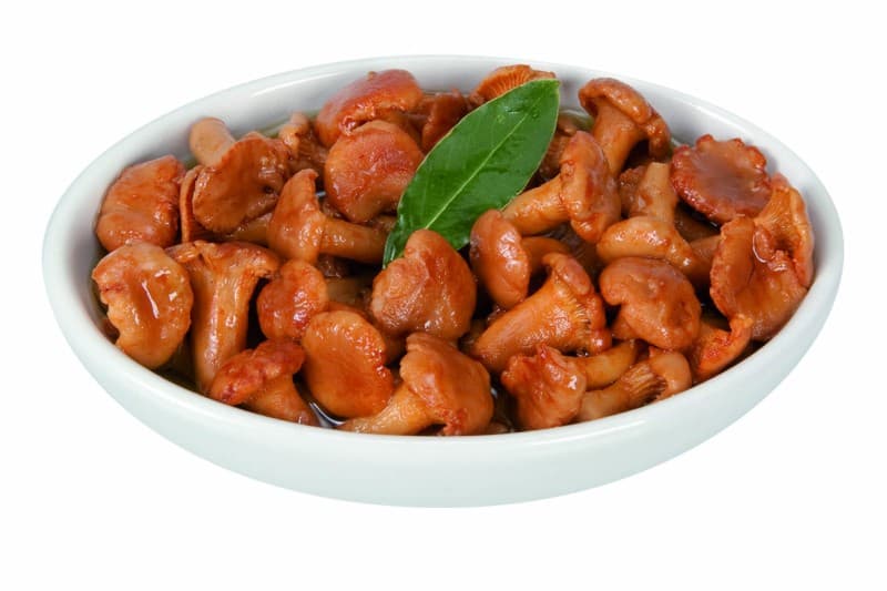 Gallinacci in Olio d'Oliva
