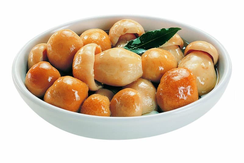 Porcini Interi in Olio d'Oliva
