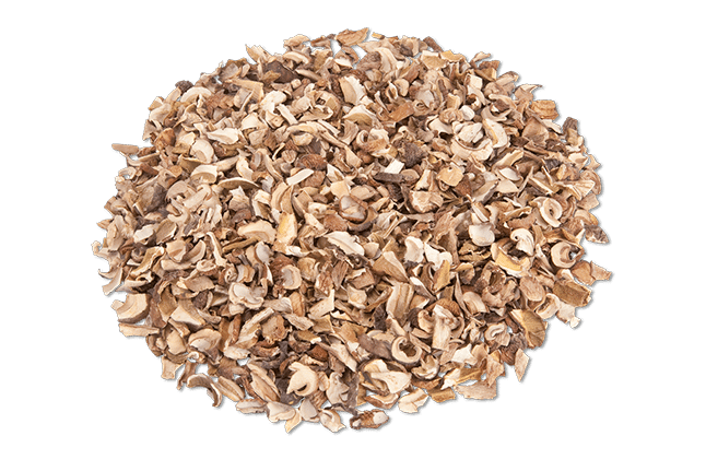 Porcini Secchi Briciole 4