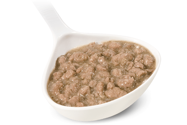 Ragù di Anatra 3