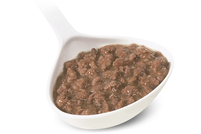 Ragù di Cinghiale 3