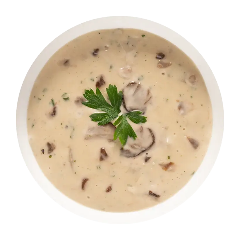 Salsa ai funghi porcini