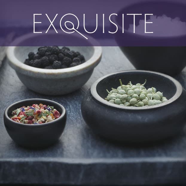 EXQUISITE