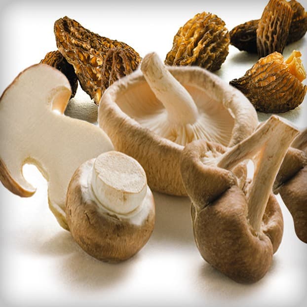 FUNGHI