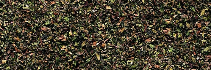 Menta - Essiccata