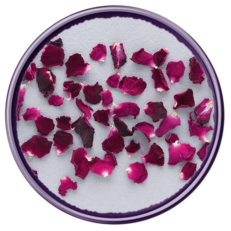 Petali di Rosa 4