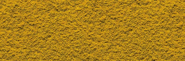 Curry Powder - Miscela di Spezie