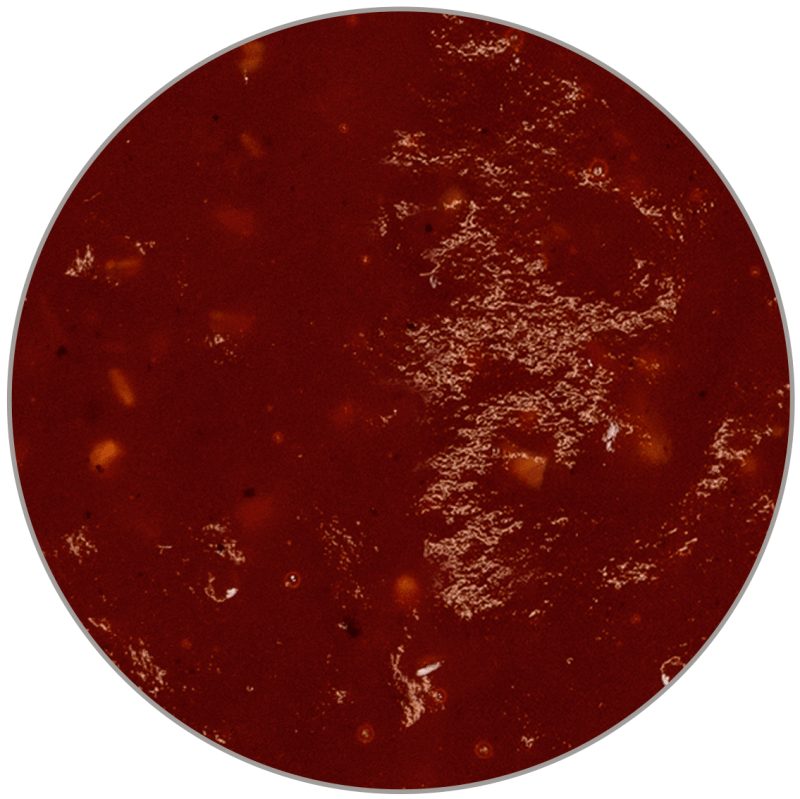BBQ Sauce 3