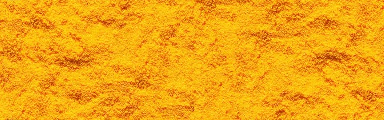 Orangia Sun