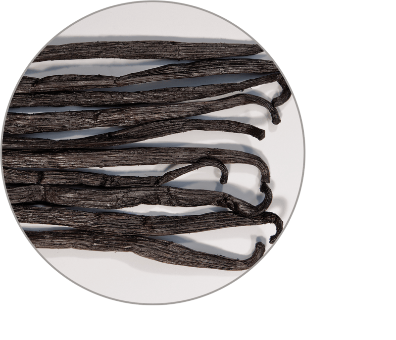 Vaniglia Bourbon Intera 3
