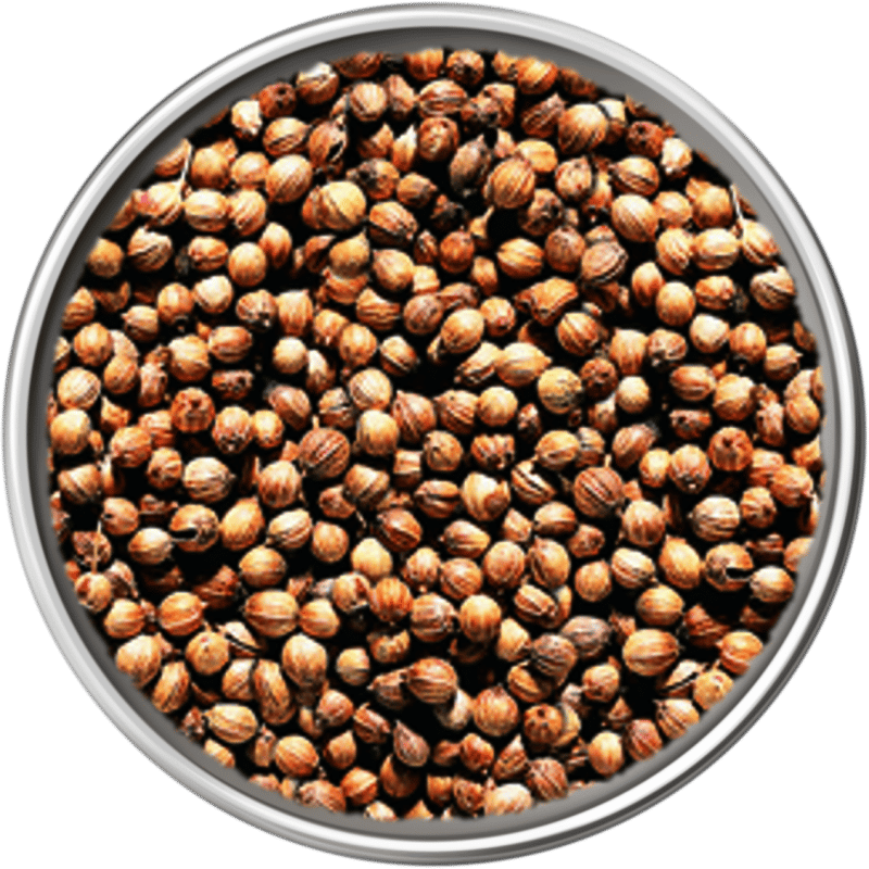 Coriandolo in Grani 4