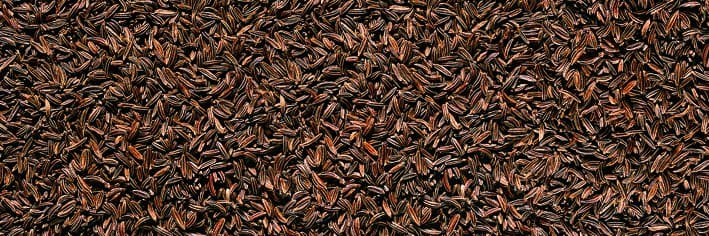 Semi di Cumino Interi