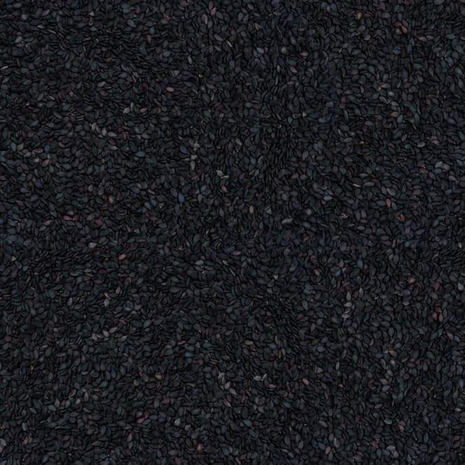 Semi di Sesamo Nero - Interi