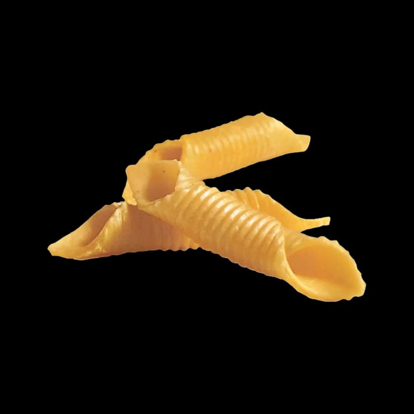 Garganelli romagnoli all'uovo Express